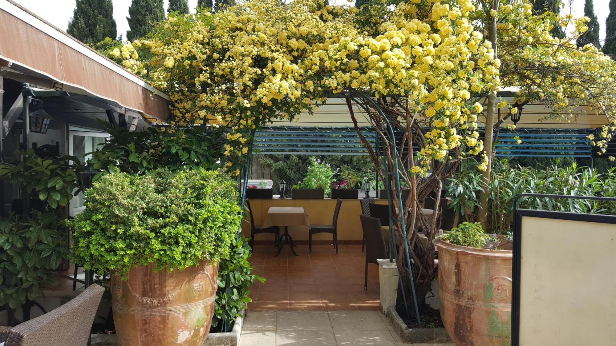 Logis Hotel - Restaurant Residence Les Cedres Villeneuve-les-Avignon Ngoại thất bức ảnh
